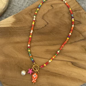 collier de plage inoxydable poisson